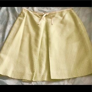 Ann Taylor Skirt